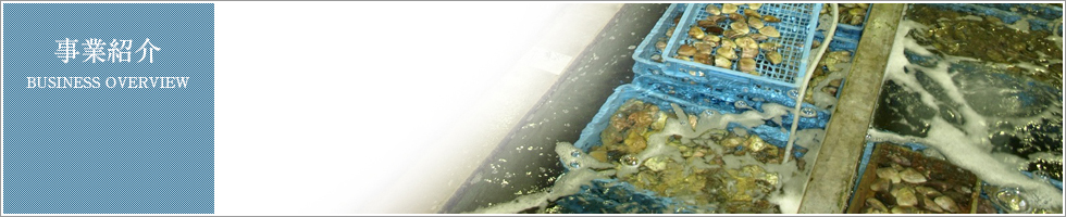 事業紹介