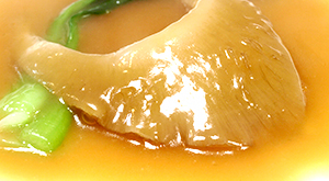 鱶鰭【フカヒレ】