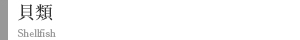 貝類
