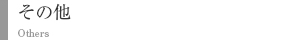 その他