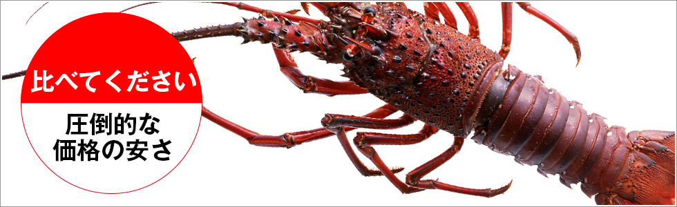 比べてください　圧倒的な価格の安さ