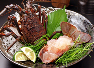 活〆冷凍伊勢海老