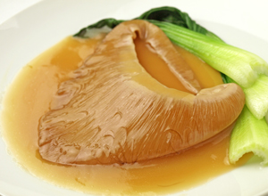 パイツー[尾びれ]