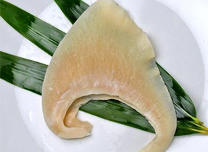 パイツー[尾びれ]